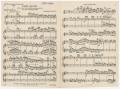 Musical Score/Notation: Light Agitato: Flute & Piccolo Parts