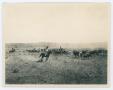 Photograph: [Cowhands guiding a herd of cattle]
