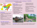 Poster: Environmental Degradation and Language Instability