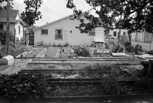 Primary view of [Photograph of a garden in the backyard of a house]