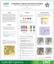 Poster: A Framework to Simulate and Visualize Epidemics