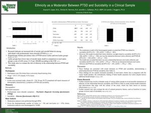 Ethnicity as a Moderator Between Posttraumatic Stress Disorder and Suicidality in a Clinical Sample