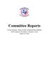 Report: [TXSSAR Committee Reports: March 26, 2010]