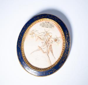 Primary view of [Frame with pressed edelweiss]