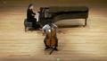Video: Junior Recitals: 2023-04-22 – Deohanz Buenafe, cello