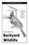 Pamphlet: Providing for Backyard Wildlife: A Do-It-Yourself Guide for Feeders, …