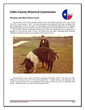 Historical Asset Survey for Collin County Texas
