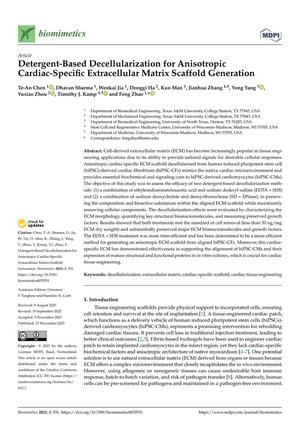 Detergent-Based Decellularization for Anisotropic Cardiac-Specific Extracellular Matrix Scaffold Generation