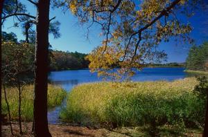 Primary view of [Tranquil Reflections: The Lake at Tyler State Park]