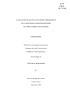 Thesis or Dissertation: A Case Study of Faculty and Student Perceptions of a Campuswide Compu…
