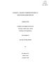 Thesis or Dissertation: Adsorbate-enhanced Corrosion Processes at Iron and Iron Oxide Surfaces