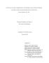 Thesis or Dissertation: Effects of Plasma, Temperature and Chemical Reactions on Porous Low D…