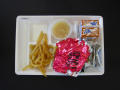 Physical Object: Student Lunch Tray: 01_20110216_01A5617