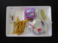 Physical Object: Student Lunch Tray: 01_20110216_01A5623