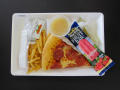 Physical Object: Student Lunch Tray: 01_20110216_01A5624