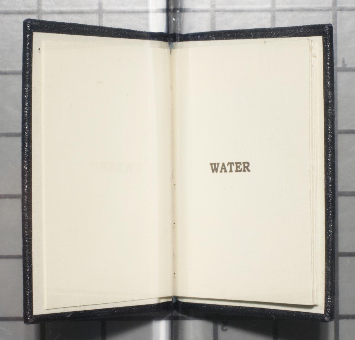 Water: from Proceedings of the Company of Amateur Brewers, 1932
                                                
                                                    [Sequence #]: 2 of 8
                                                