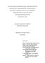 Thesis or Dissertation: The relationship between maternal stress and mothers' perceptions of …