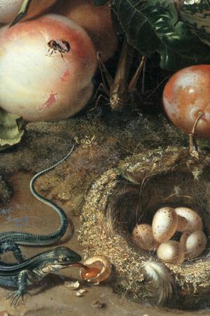 Primary view of Still Life with Fruit and Animals