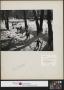 Photograph: [Children Ice Skating on the River Rouge in the Snow (2)]