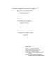 Thesis or Dissertation: Technical Communication and the Needs of Small 501(c)(3) Organizations