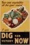Poster: Your own vegetables all the year round-- : if you dig for victory now.