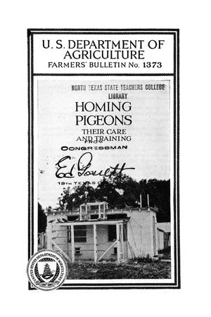 Primary view of Homing pigeons : their care and training.