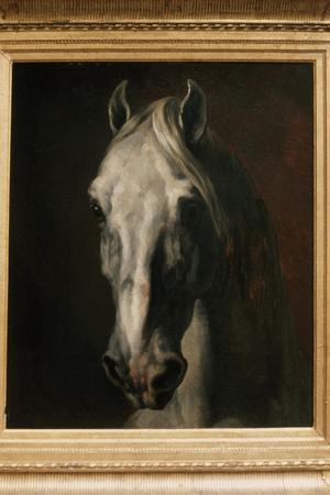 Primary view of Head of a White Horse