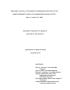 Thesis or Dissertation: Modeling the Role of Boundary Spanners-in-Practice in the Nondetermin…