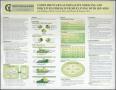 Poster: Complimentary/Alternative Medicine and Perceived Stress in People Liv…