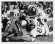 Photograph: [North Texas vs. Wichita State University Football Game, 1968]