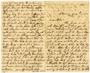 Primary view of [Letter from Dinkie McGee to her Sister, June 9, 1877]