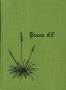 Yearbook: The Yucca, Yearbook of North Texas State University, 1968